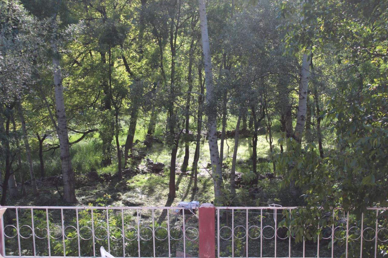 Auberge Toubkal Amsouzart Aitst Idar Tizgui Exteriér fotografie