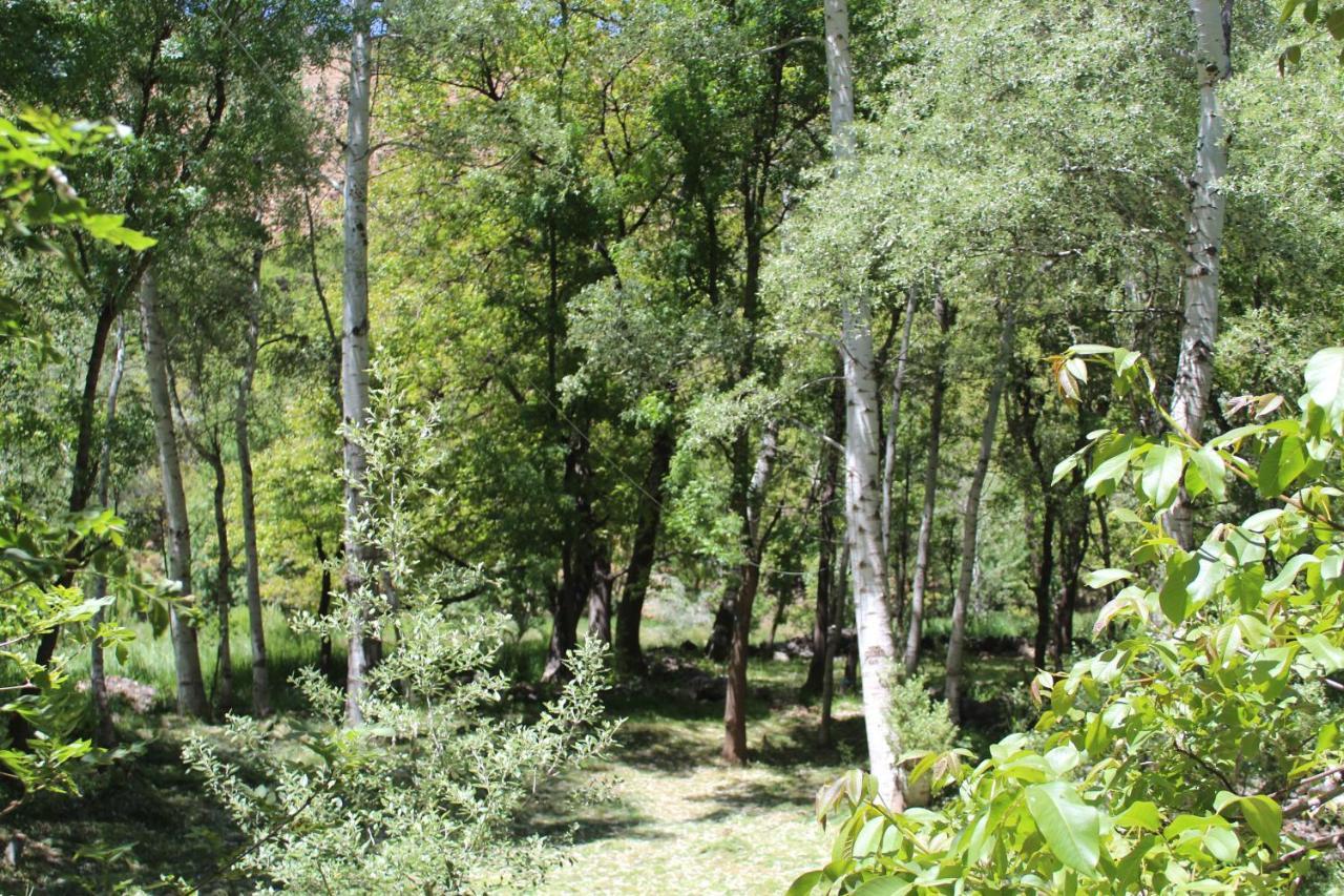 Auberge Toubkal Amsouzart Aitst Idar Tizgui Exteriér fotografie